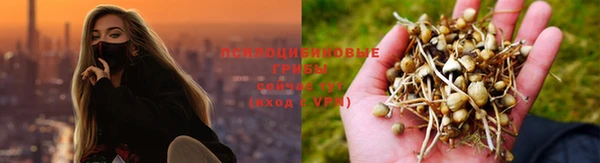 мяу мяу мука Алексеевка