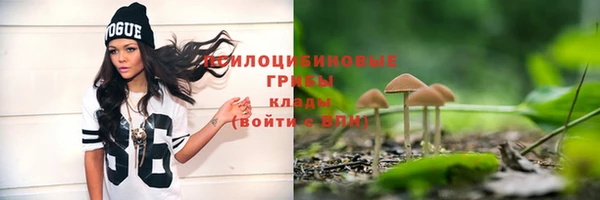 ГАЛЛЮЦИНОГЕННЫЕ ГРИБЫ Абдулино