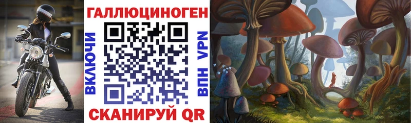 нарко площадка официальный сайт  Суровикино  Псилоцибиновые грибы Psilocybe 