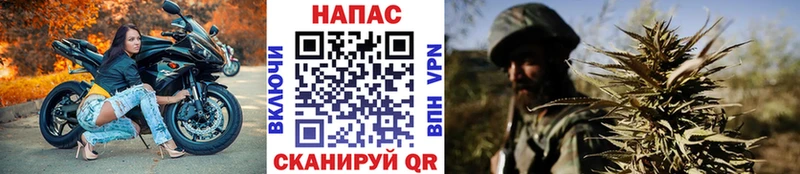 Бошки Шишки OG Kush  закладки  Суровикино 